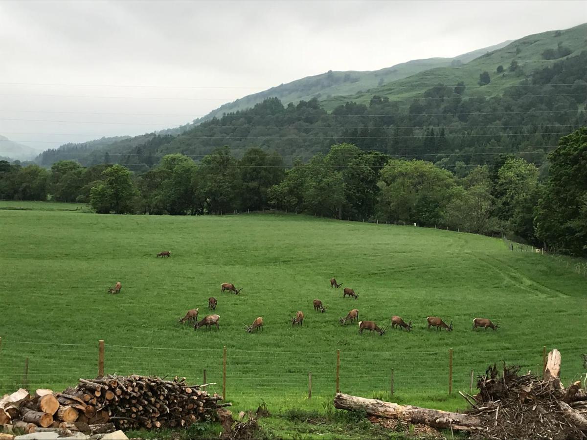 Lochay Lodges Killin Buitenkant foto